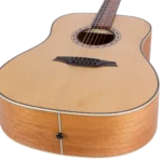 BAT1-body bottom