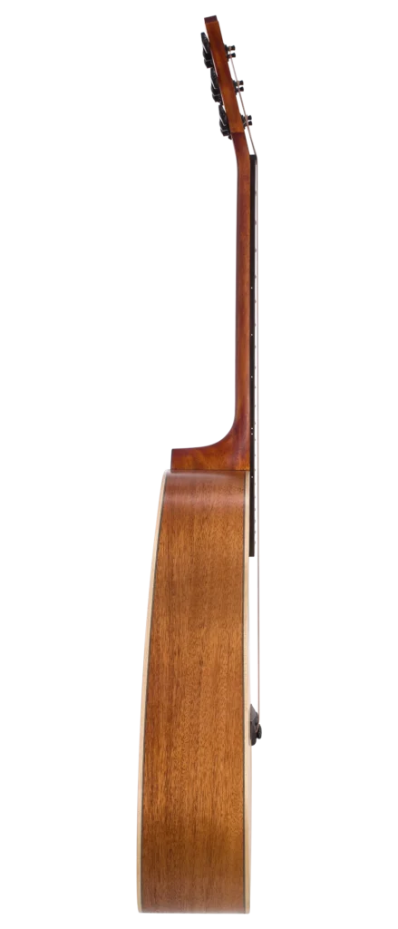 BAT1-side right