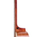 BAT1- neck right
