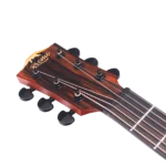BAT1M_headstock