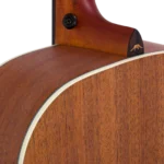 BAA1_body-top-back-right
