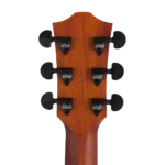 BAA1_headstock-back