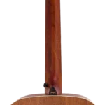 BAA1_neck-back