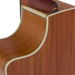 BAA2CE_body cutaway-back