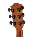 BAA2CE_headstock_back-left