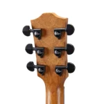 BAA2_headstock-back