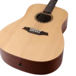 BAT1N_body