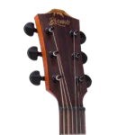 BAT4CE_headstock-right
