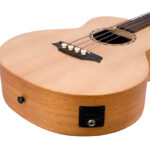 BAT8EFL_Body