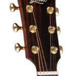 BAN2CE_headstock-right