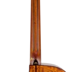 BAN2CE_neck-back