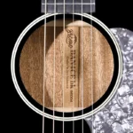 BAN4CEBK_soundhole