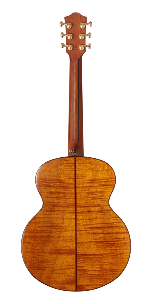 BAN8EVS_back-front