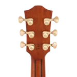 BAN8EVS_headstock-back
