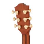 BAN8EVS_headstock-back-right