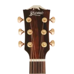 BAN8EVS_headstock-front
