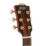 BAN8EVS_headstock-right