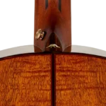 BAN8EVS_top-back