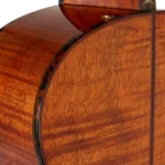 BAN8EVS_top-back-left