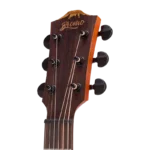 BAT4CEL_headstock-left