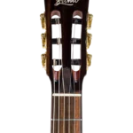 BEN2C3TS_headstock