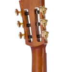 BEN2C3TS_headstock-back-right