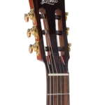 BEN2C3TS_headstock-right