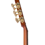 BEN2C3TS_headstock-side