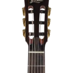BEN2CTBK_headstock