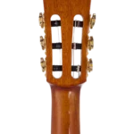 BEN2CTBK_headstock-back
