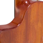 BEN2C_back-detail