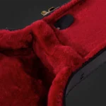 BEN2C_case-detail