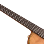 BEN2C_fingerboard