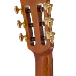 BEN2C_headstock-back