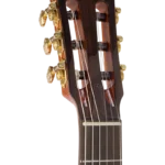 BEN2C_headstock-right