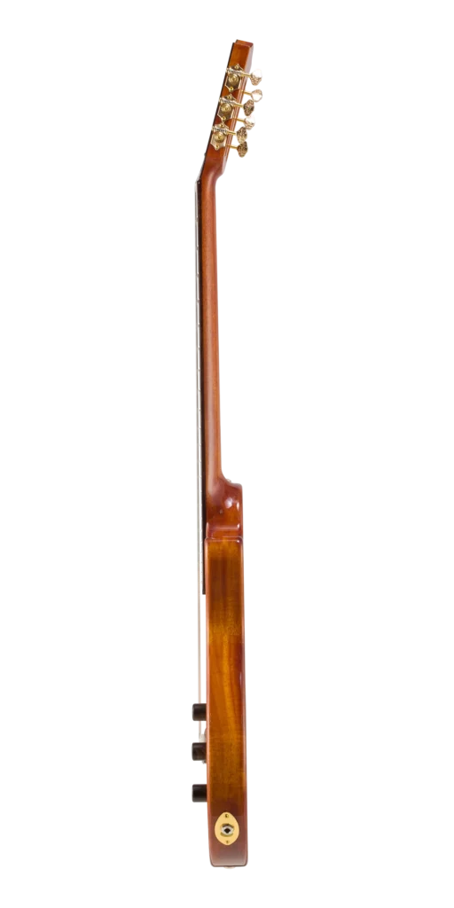 BEN2C_left side