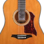 Dreadnought Acoustic Guitar