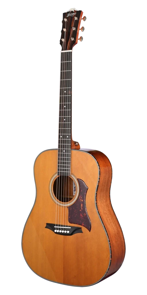 SOLID TOP - Dreadnought.