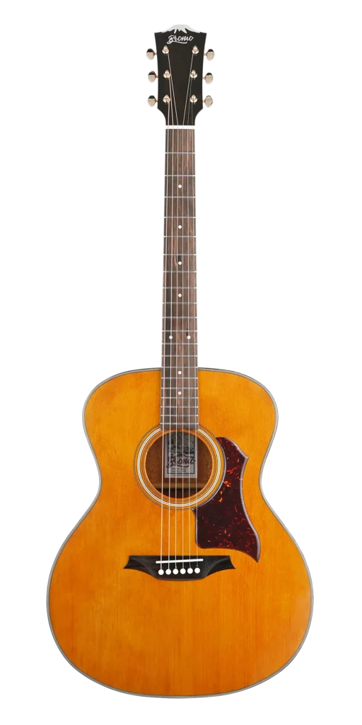 Dreadnought Acoustic Guitar