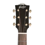 Dreadnought Acoustic Guitar