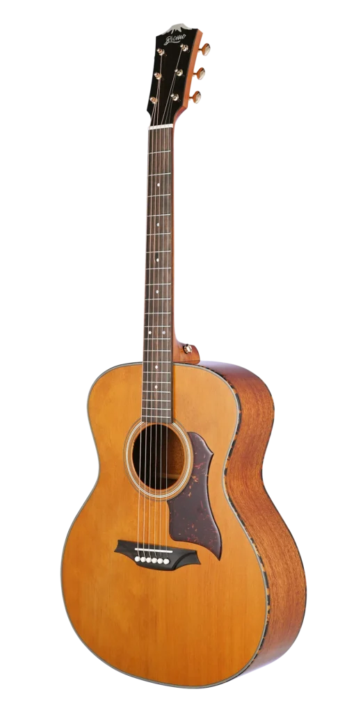Dreadnought Acoustic Guitar