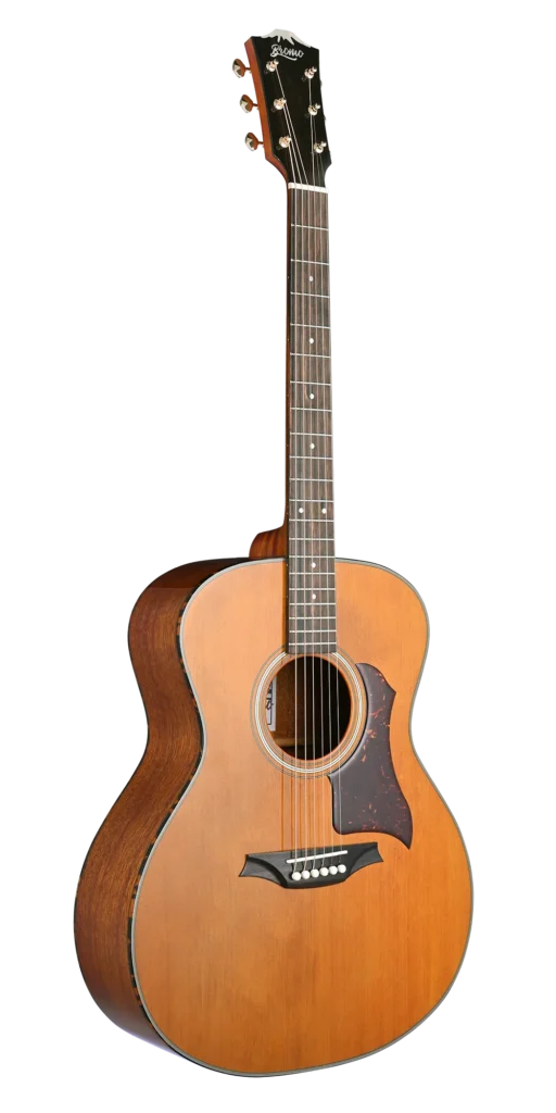 Dreadnought Acoustic Guitar