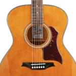 BAN2V_soundhole