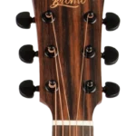 BAT1N-Headstock