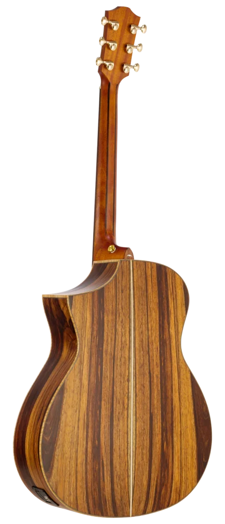 BAR4GCE-back right